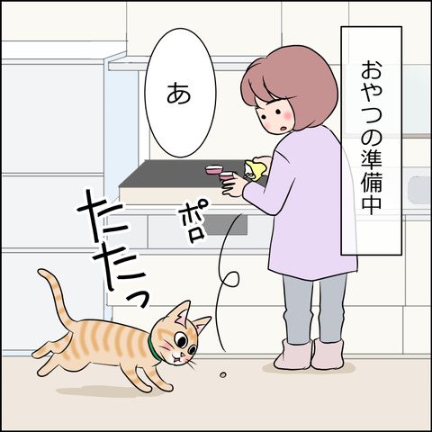 あんこ＆麦STORY1753a