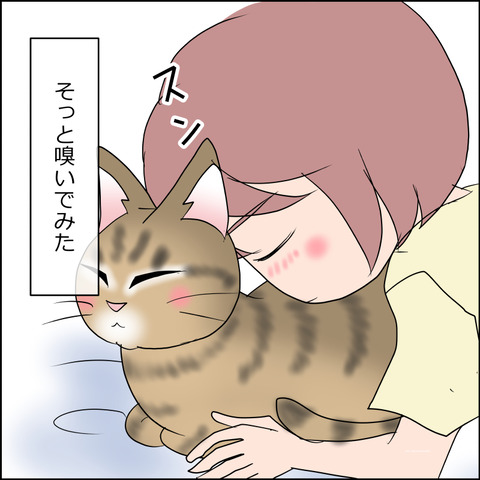 あんこ＆麦STORY2467c