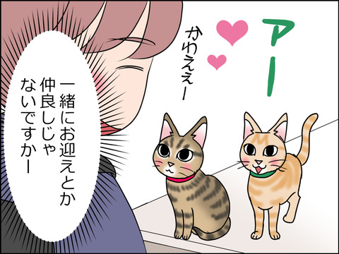 あんこ&麦STORY1516c