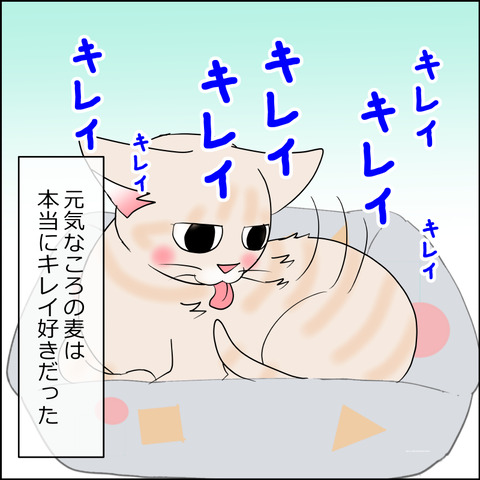 あんこ＆麦STORY2449b