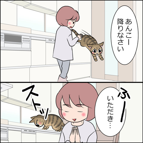 あんこ&麦STORY1800b