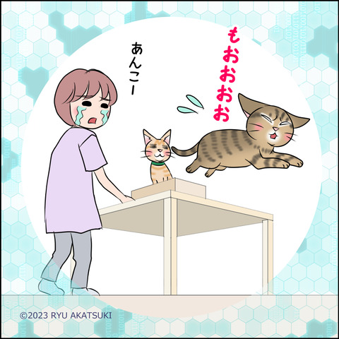 あんこ＆麦STORY1941e