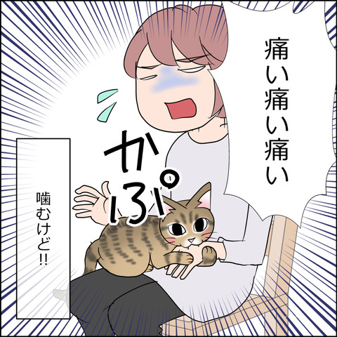 mugitabi030d