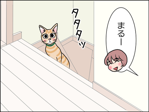 あんこ&麦STORY1521c