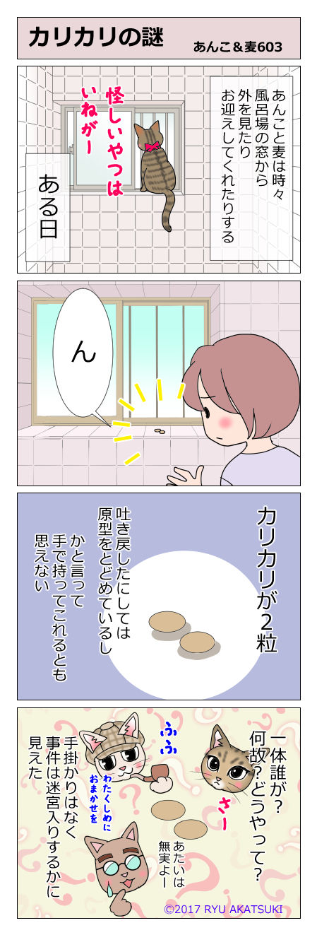 あんこ&麦STORY603