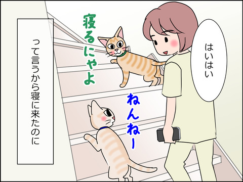 あんこ&麦STORY1457a