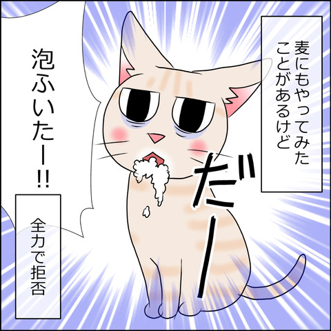 あんこ＆麦kenko65b