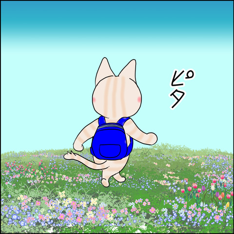mugitabix040c