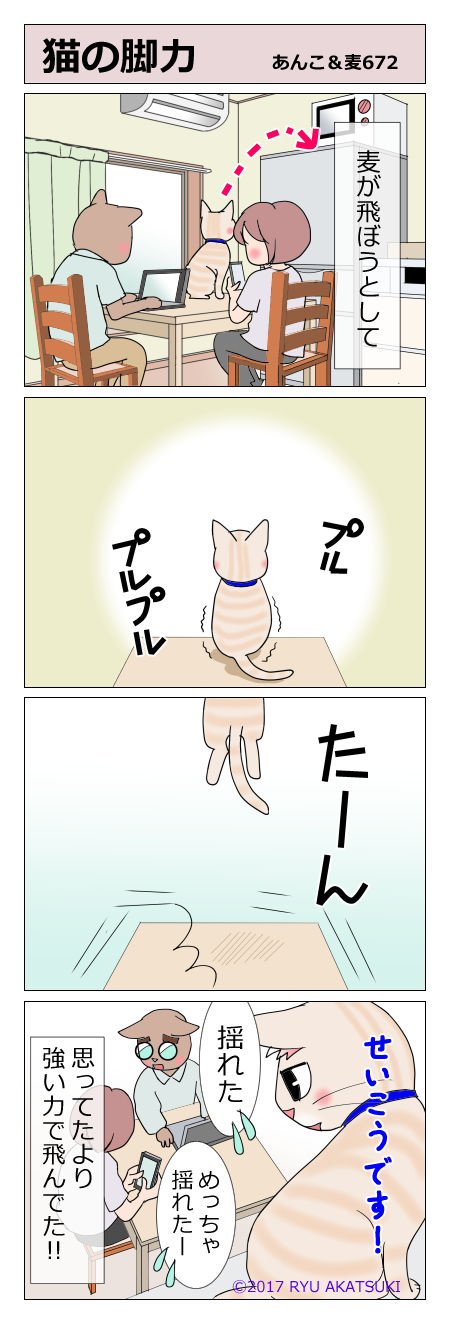 あんこ&麦STORY672