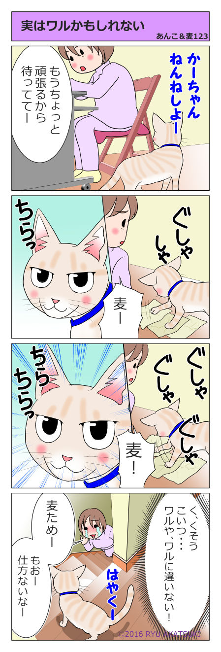 あんこ＆麦STORY123