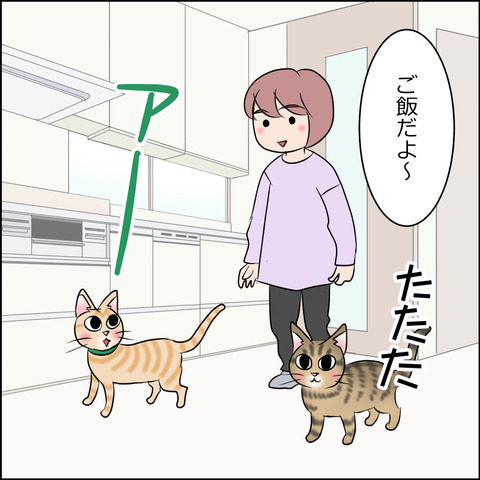 あんこ＆麦STORY2062a
