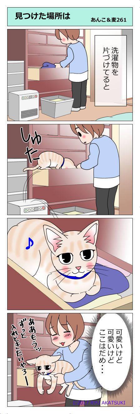 あんこ&麦STORY261
