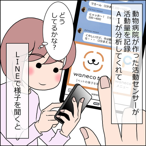 waneko001c