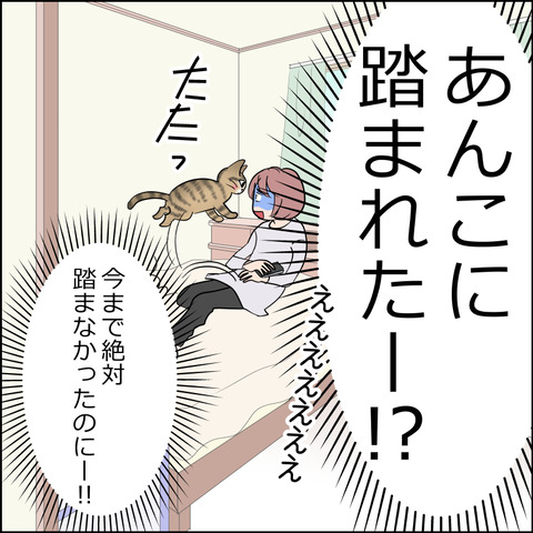 あんこ&麦STORY2363c