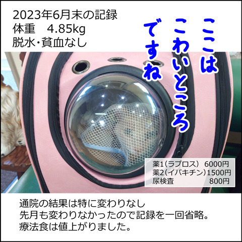 あんこ＆麦kenko80e