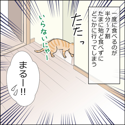 あんこ&麦kenko162b