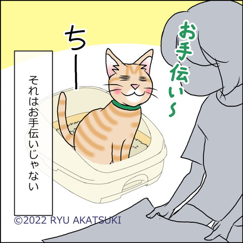 あんこ&麦STORY1673d