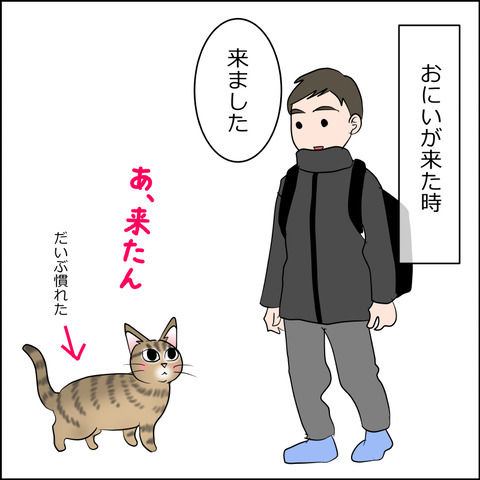 あんこ&麦STORY2397a