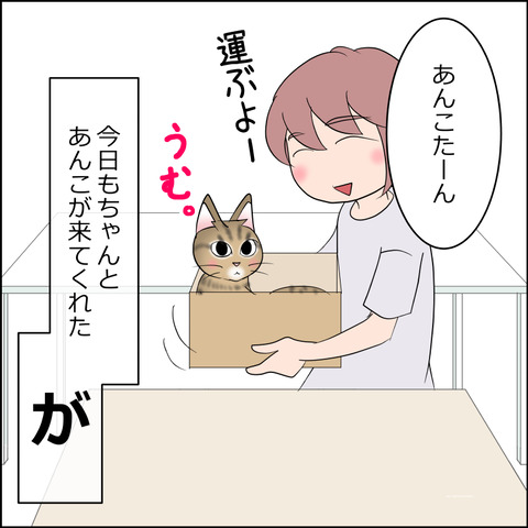 あんこ＆麦STORY2334a