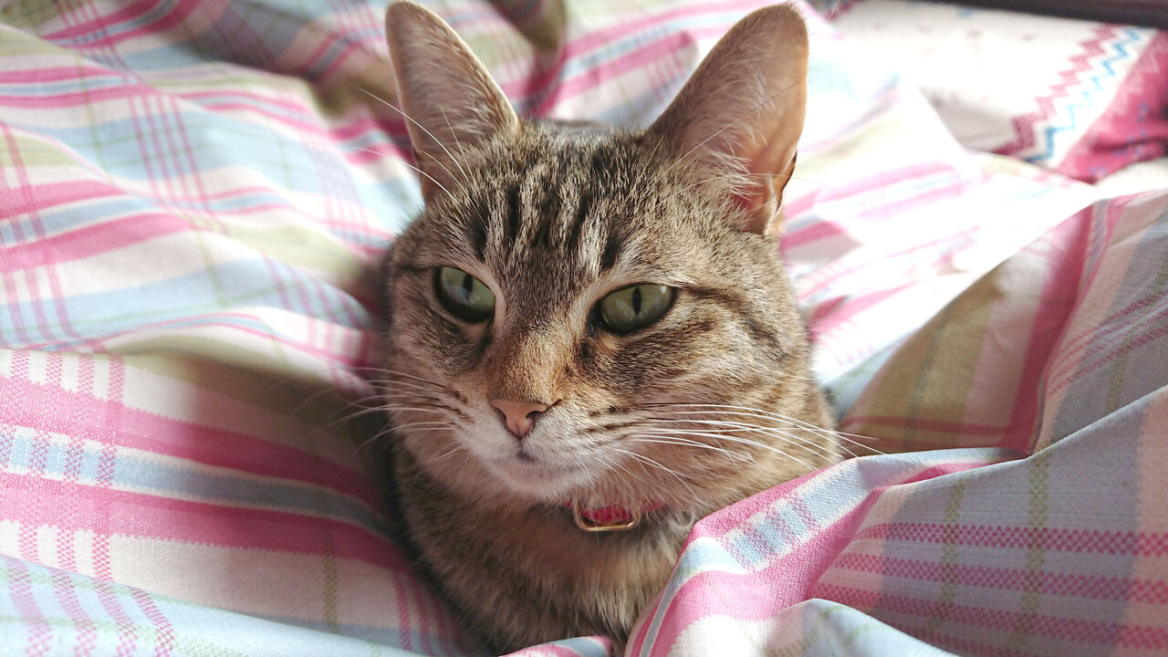 DSC_1093