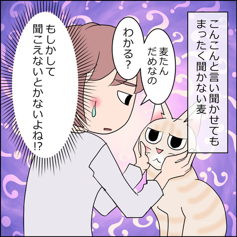 あんこ＆麦STORY2378a