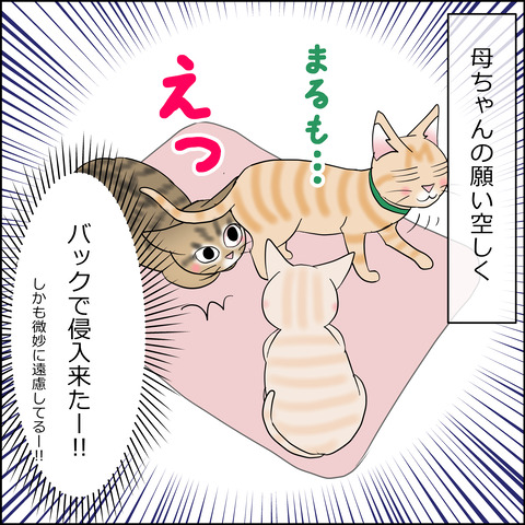 あんこ＆麦STORY2245a