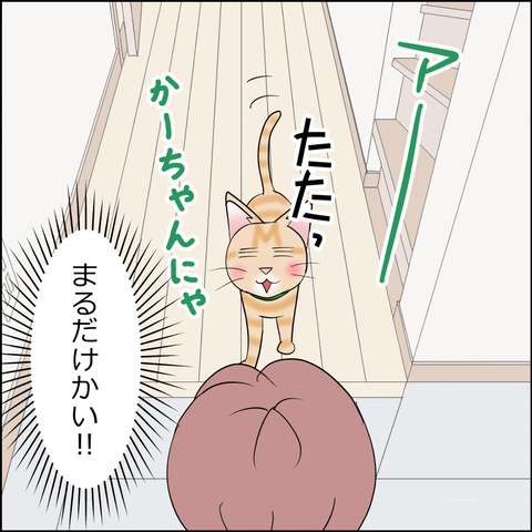 あんこ＆麦STORY2217c