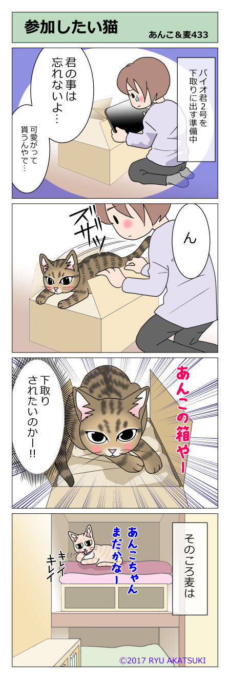 あんこ&麦STORY433