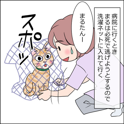 あんこ＆麦STORY1698a