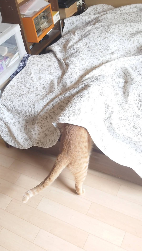 Screenshot_20251005-182005