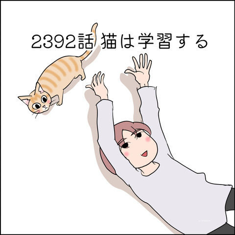 あんこ＆麦STORY2392@
