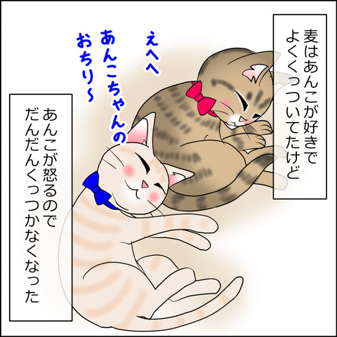 あんこ＆麦STORY2388b