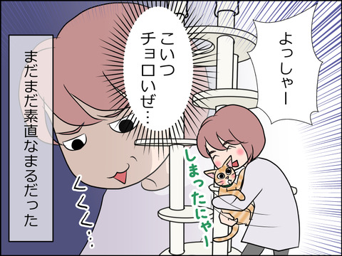 あんこ&麦STORY1540d