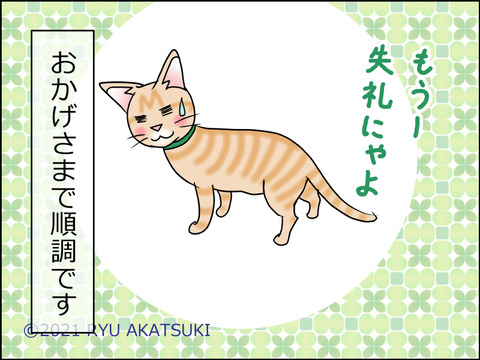 あんこ&麦kenko39d