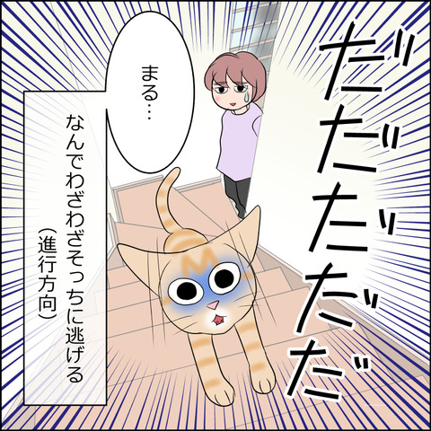 あんこ＆麦STORY2111d