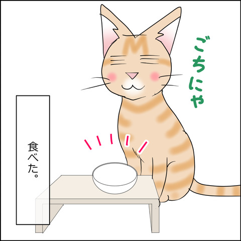 あんこ&麦STORY2437d