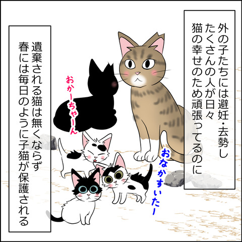 あんこ＆麦STORY2136c