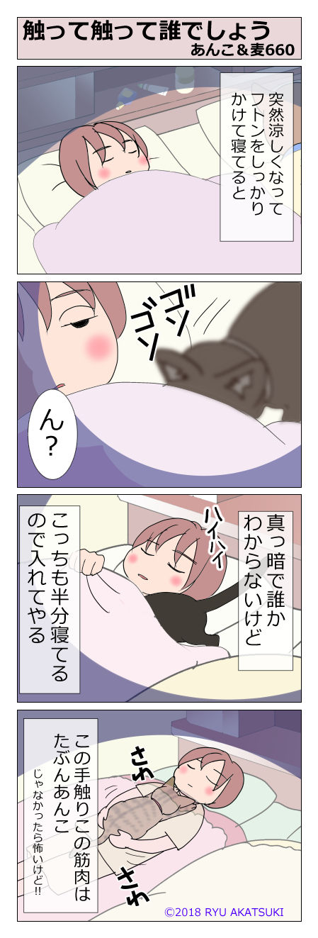 あんこ&麦STORY660