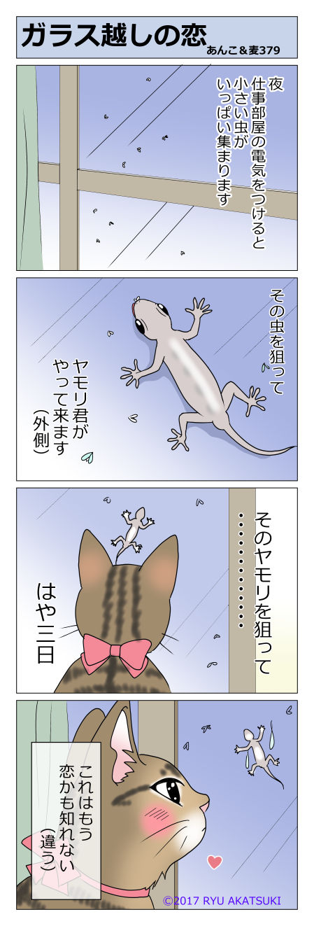 あんこ&麦STORY379