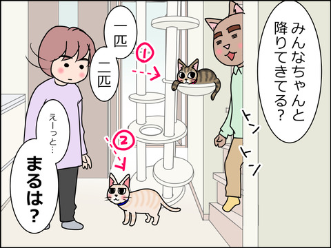 あんこ&麦STORY1491c