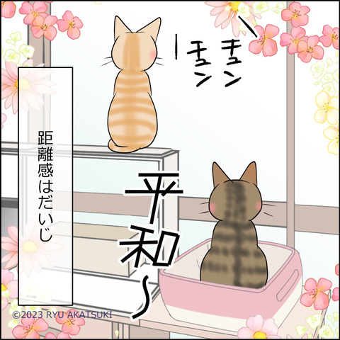 あんこ＆麦STORY1985d