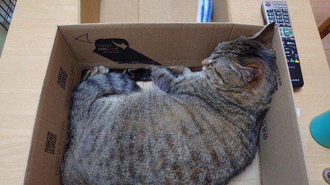 20240728_203554_Original