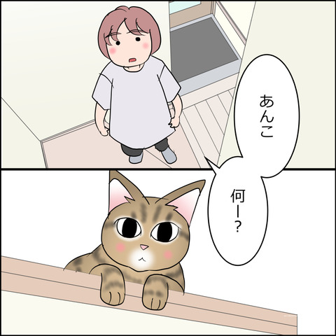 あんこ＆麦STORY2457b