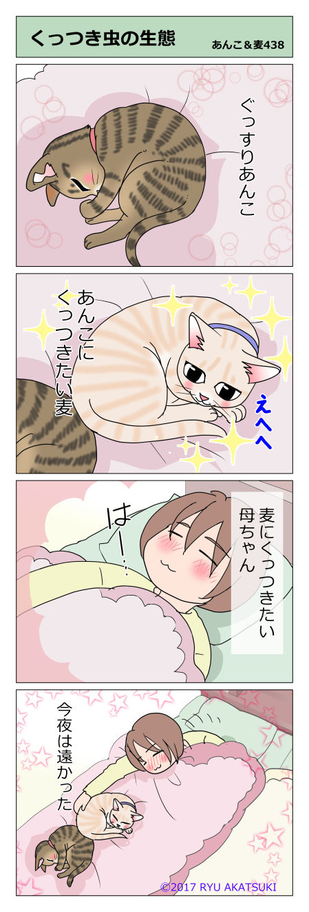 あんこ&麦STORY438