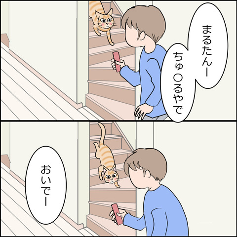 あんこ＆麦STORY2445c