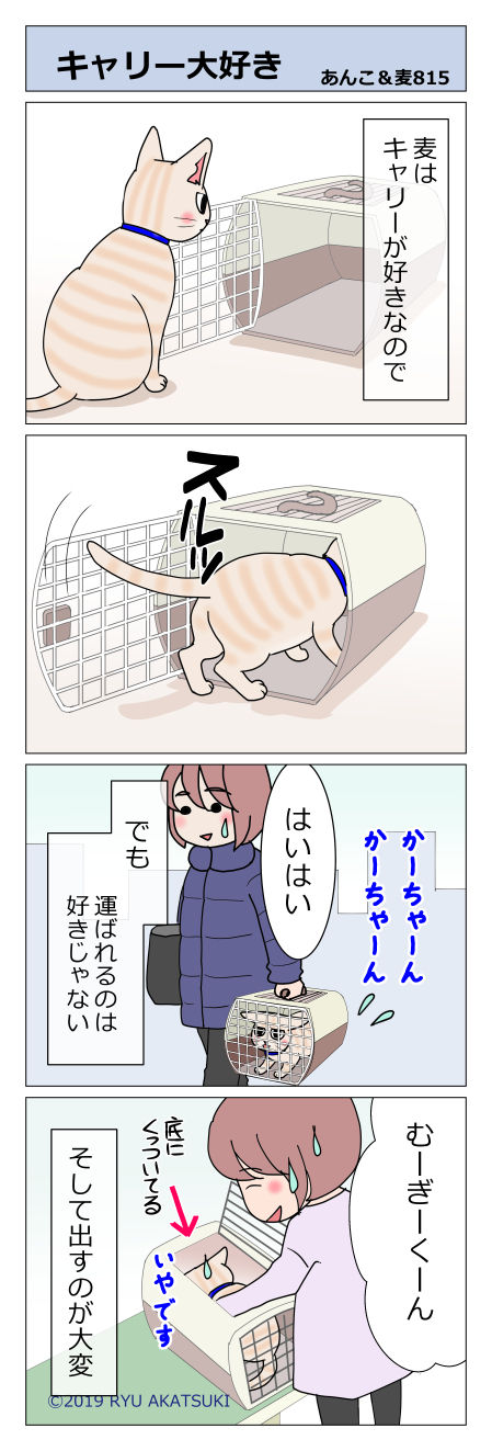 あんこ&麦STORY815
