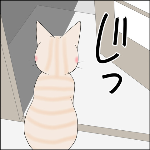 あんこ&麦STORY2342c