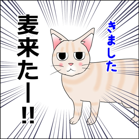 あんこ＆麦STORY2391b