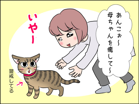 あんこ&麦STORY1579b
