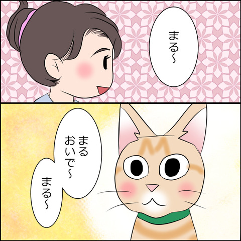 あんこ&麦STORY1821c